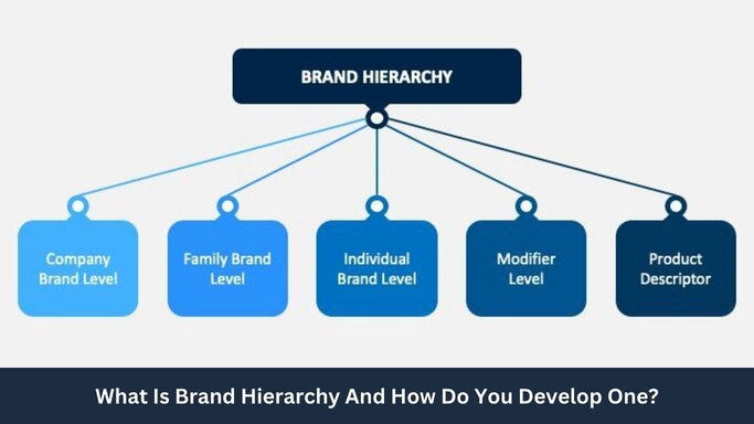 What Is Brand Hierarchy And How Do You Develop One?